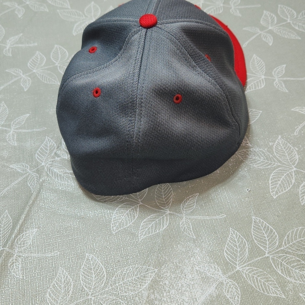 Fort Wayne Tin Caps Hat - Picture 4 of 8